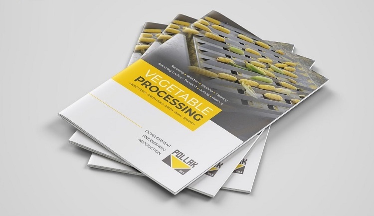 Mẫu thiết kế Catalogue dịch vụ - 4