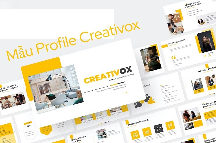 Mẫu thiết kế profile công ty - 1
