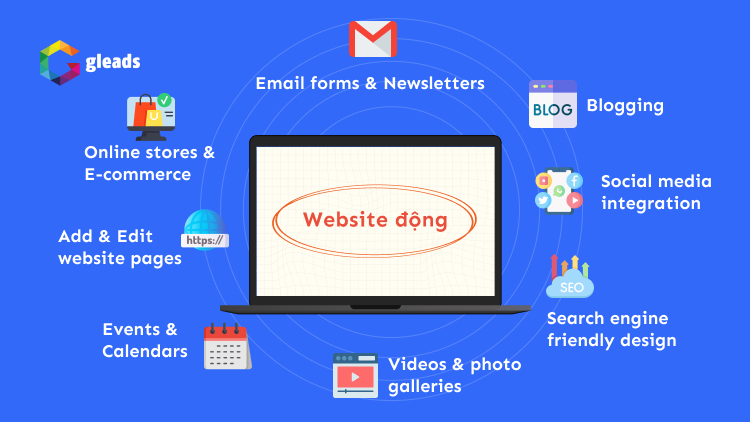 web động là gì
