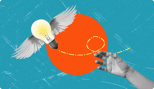 Build a Sustainable and Professional Brand