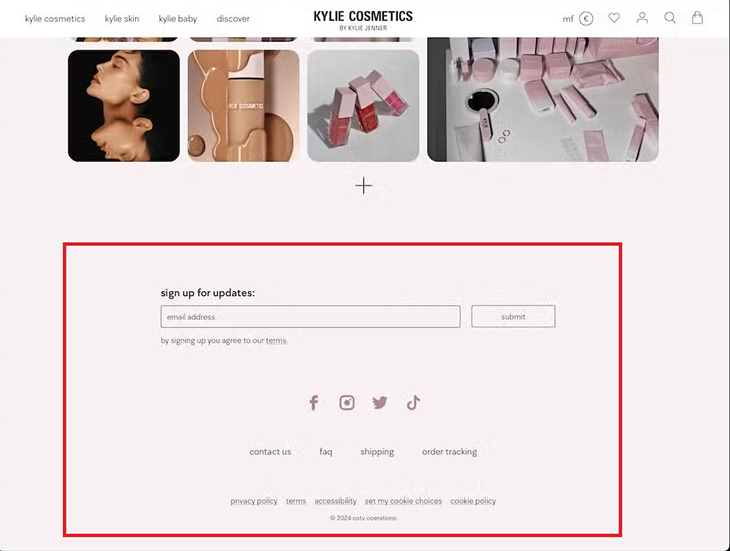 Footer cơ bản 1 cột